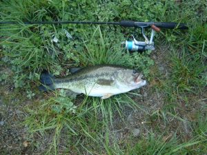 DSCF1048-300x225 DSCF1048