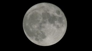 P1020041-300x169 P1020041